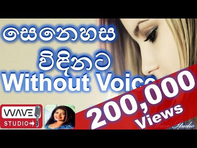 Senehasa windinata Karaoke Without Voice සෙනෙහස විඳිනට Karaoke