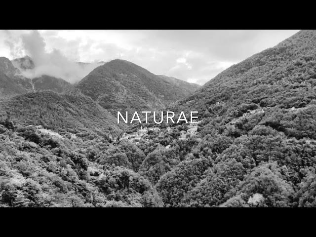 Naturae - Landslide