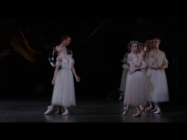 Adam: Giselle (Royal Opera House)