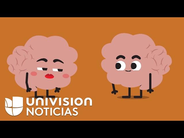 Esto es lo que pasa con tu cerebro cuando estás enamorado