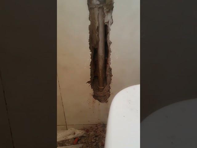 Deu vazamento no banheiro #dica #contrucaocivil