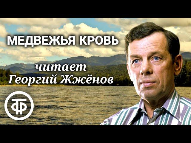 Виктор Астафьев. Медвежья кровь. Рассказ читает Георгий Жженов (1987)