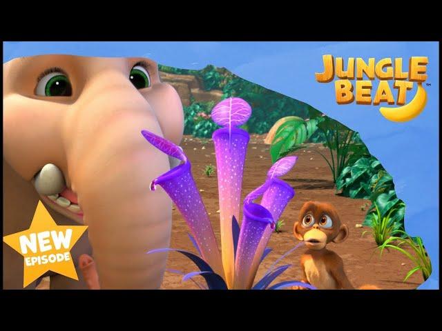 Boing Boing | Jungle Beat | Cartoons for Kids | WildBrain Zoo