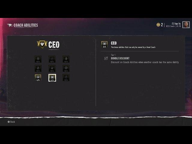 The CEO Discount Coaching Ability Is It Worth It?