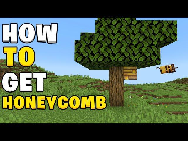 How to get honeycomb in Minecraft 1.21