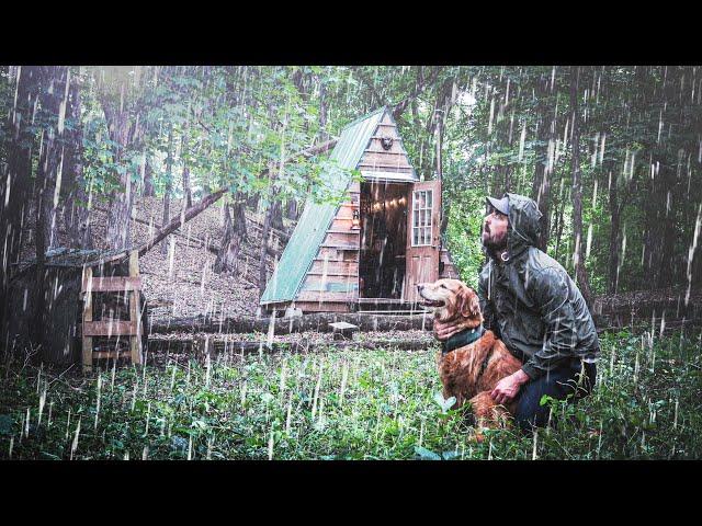 THUNDERSTORM AT THE CABIN | Just Me and My Dog