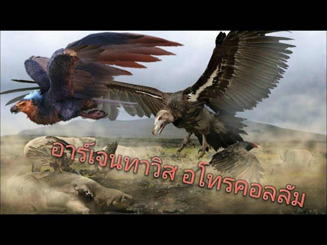 TGX - ARK Ecology นกแร้งอาร์เจนทาวิส Argentavis Atrocollum