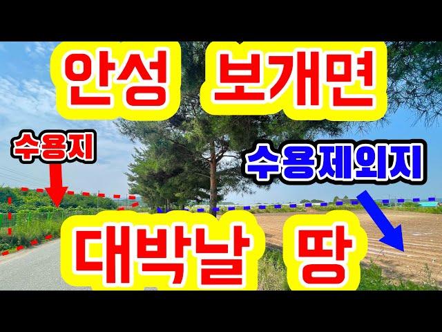 [안성 토지]안성 보개면 급매물 동신산업단지 경계 수용제외지/ 위치 좋은 토목공사 완료된 대박날 땅