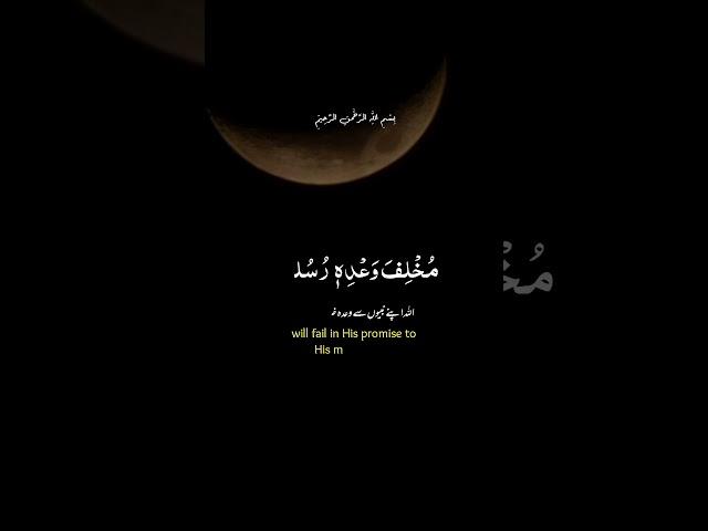 From Darkness to Light  | Quran’s Eternal Message