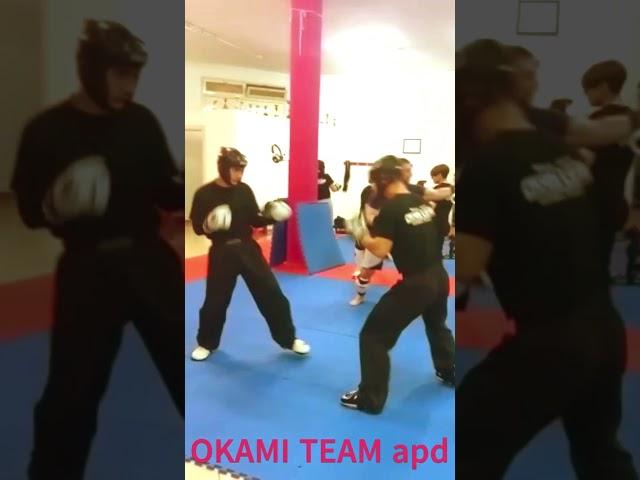 Okami Team apd novembre 2022