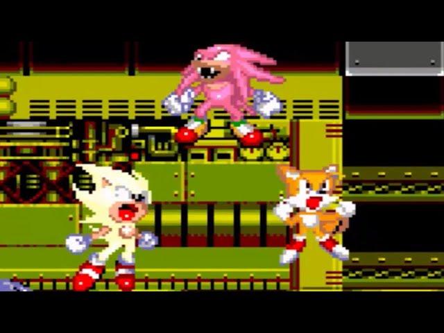 Sonic 2 But You Play As Sonic Knuckles & Tails