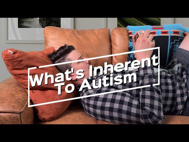 What's Inherent To Autism #audhd #actuallyautistic #asdawareness