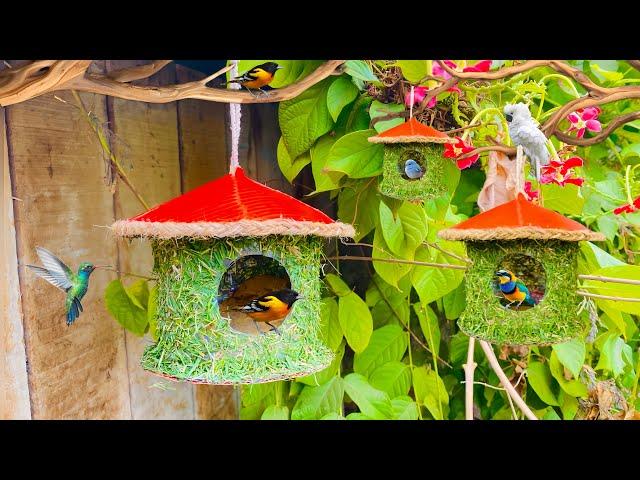 How to make bird houses from plastic bottles || diy bird nest || garden idea