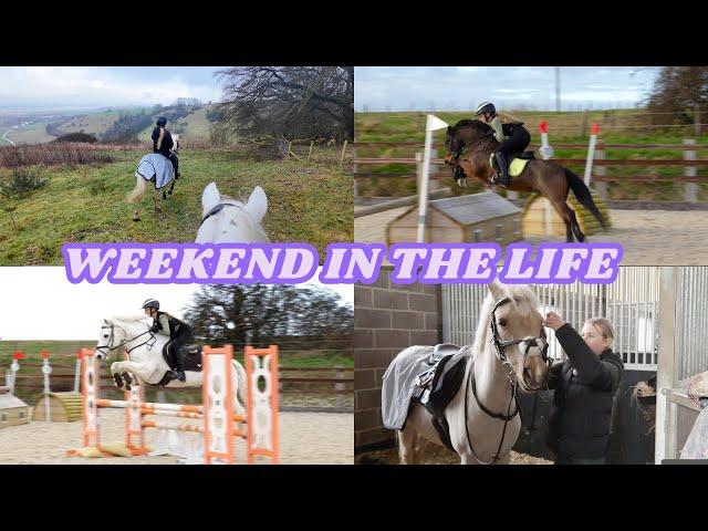 WEEKEND IN THE LIFE.. WITH ALL THE PONIES + NEW HOUSE SHOPPING HAUL!