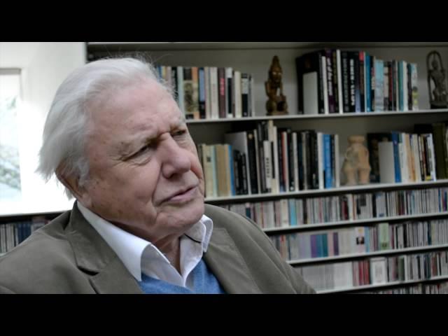 Sir David Attenborough | Biology: Changing the World Interview | Royal Society of Biology