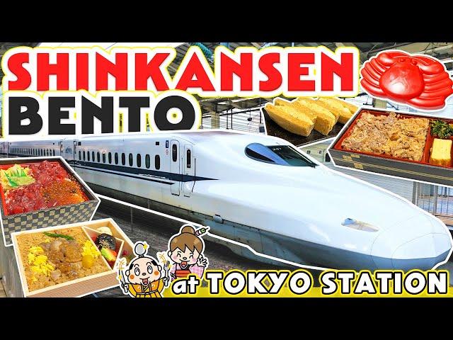 Japan Shinkansen (bullet train) Bento Box (ekiben) at Tokyo station