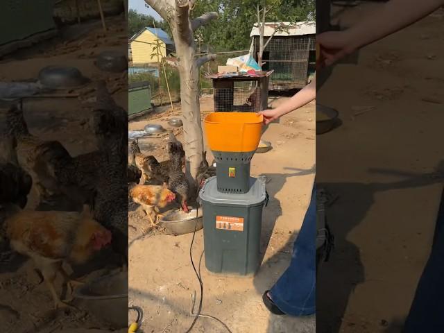 #rural free range chicken #breeding crusher #feed crusher #breeding artifact #feeding #farming