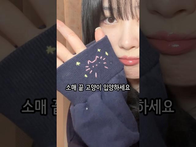 나만의 작은 소매 끝 고양이