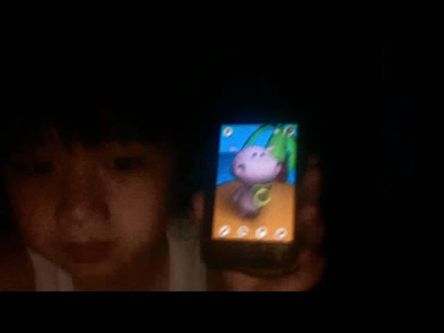 talking hippo