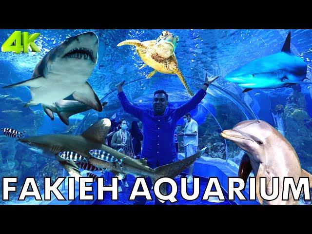 Aquarium In Saudi Arabia | Fakieh Aquarium In Jeddah | Aquarium Fish | Jeddah Saudi Arabia  4K Video