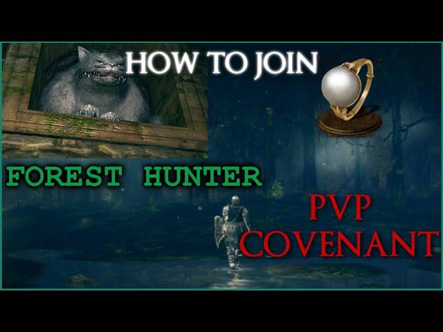 How to Join the Forest Hunter covenant - Dark Souls Remastered