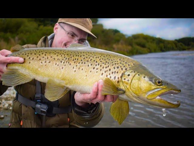 Biggest Trout Of The Year! TROPHY Brown Trout!