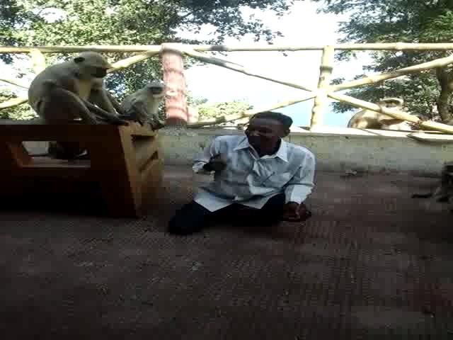 Amar Prasad Sipka,Song