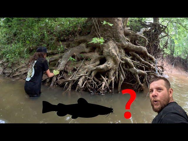 How to find GIANT CATFISH in TINY CREEKS!! Our 2nd Creek Adventure of the Year!! (Tiebreaker Video)