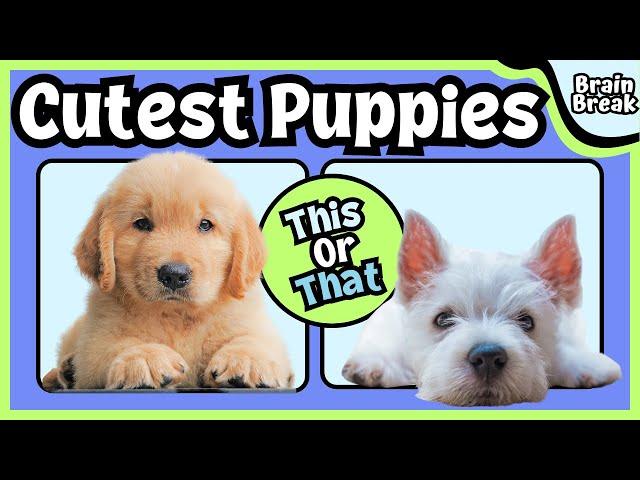 This or That?!? Cutest Puppies Brain Break | Kids Workout | Just Dance | Kids Yoga | Funny Dogs