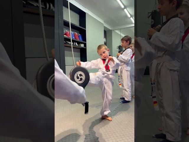 Taekwondo Kids / Kicks