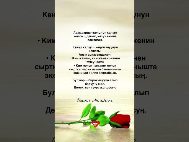 17 июня 2025 г.