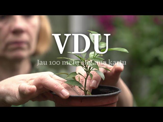 VDU 100s