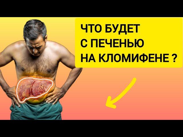 Как кломифен влияет на печень: анализ случая