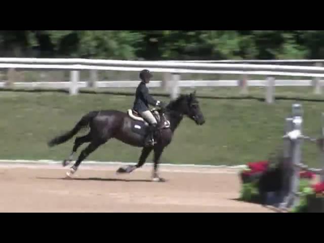 Video of S & L DOWNTOWN ridden by LANIE BRICKER from ShowNet!