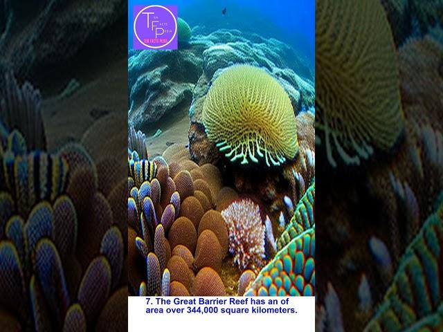 Ten facts pedia about Great Barrier Reef