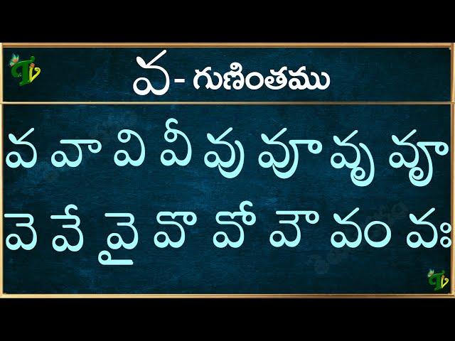 వ గుణింతం | Va gunintham in Telugu | Va guninthalu | Telugu varnamala Guninthamulu 2024 updated