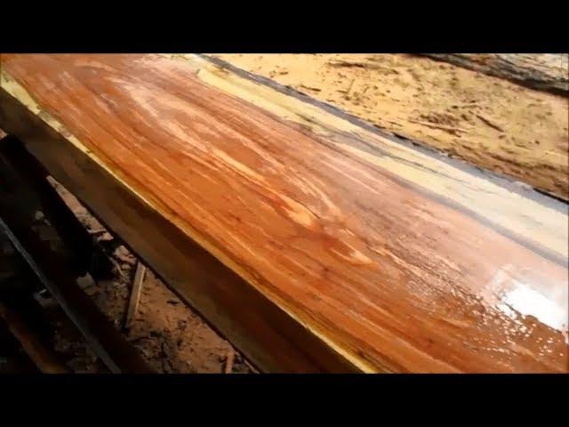 Sawmill Cutting Old  Texas Pecan Logs into Slabs with woodmill