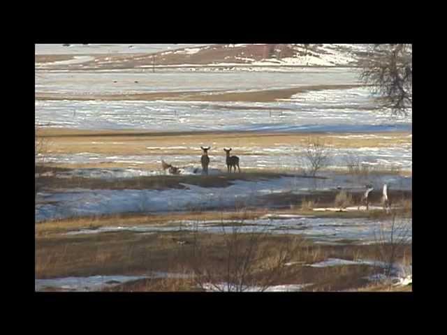 "Powder River Country" (2005)