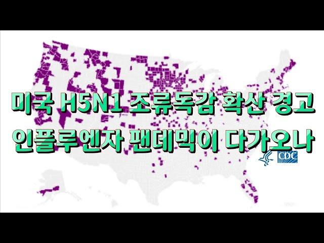 미국 H5N1 조류독감  확산 경고 - 인플루엔자 팬데믹이 다가오나