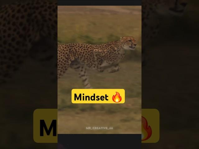 The game of Mindset 
