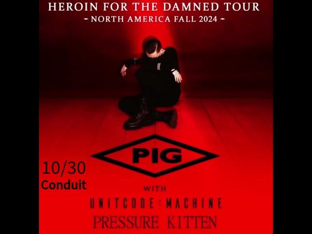 Pressure Kitten Oct Shows 2024