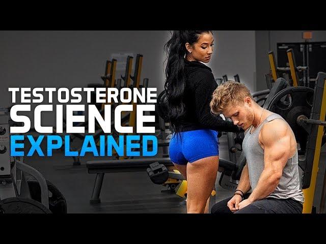 How to Increase Testosterone Naturally | Science Explained