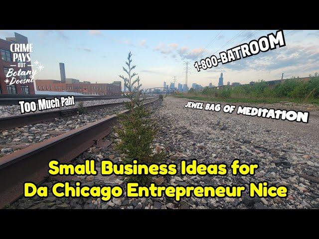 1-800-Batroom - Small Business Ideas for Chicago Entrepreneurs