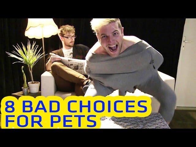 8 Bad Choices For Pets || CopyCatChannel