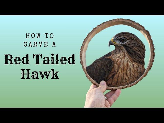 Hand Carved Red Tailed Hawk Tutorial