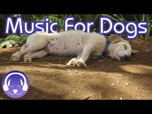 Soothing Music for Dogs - Dog Relaxation Music (TESTED)