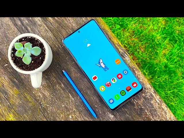 Samsung Galaxy Note 10 Lite - 10 Weeks Later!