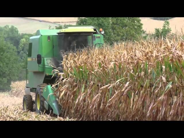 Seeds of Death: Unveiling The Lies of GMO's Full Documentary HD