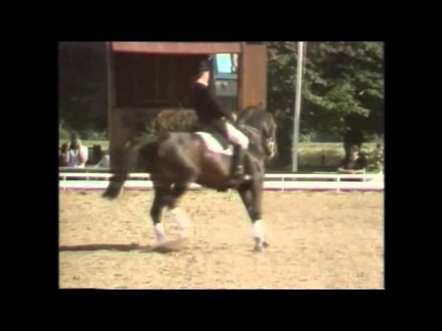 Jennie Loriston-Clarke riding Dutch Courage 1985
