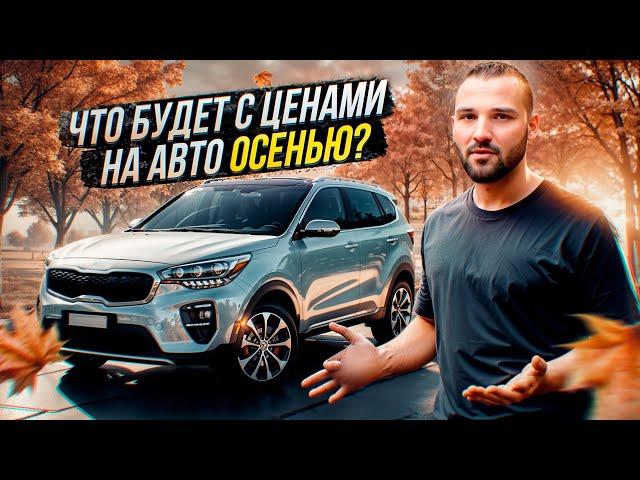 1 октября взлетят цены на авто: Стоит ли сейчас покупать / продавать авто